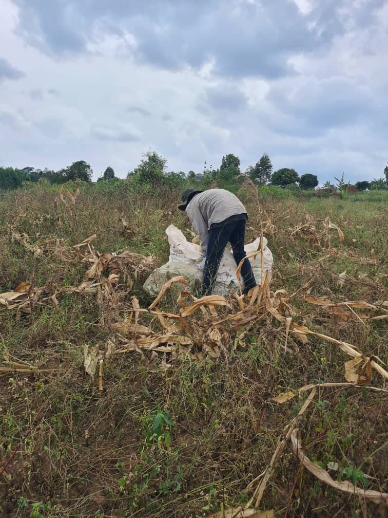 Jolt Youth Initiative farming project