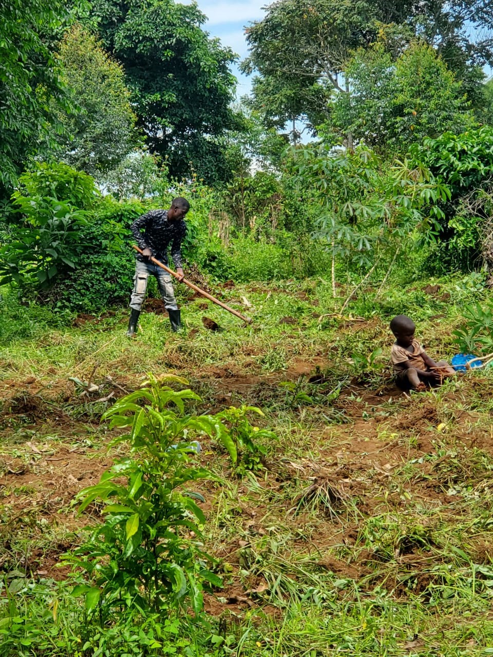 Farming initiative